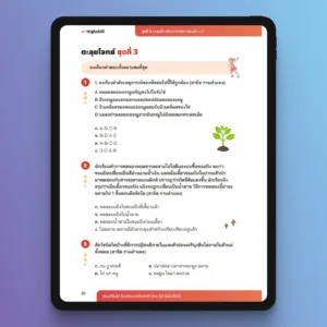 ติวเตอร์ตัวต่อตัว เตรียมสอบเข้า ม.1 เรียนพิเศษ ติวเตอร์