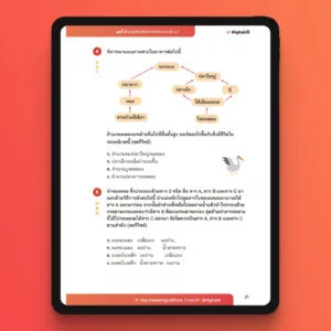 ติวเตอร์ตัวต่อตัว เตรียมสอบเข้า ม.1 เรียนพิเศษ ติวเตอร์